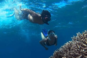 Excursión de un día a la Playa Rosa de Lombok/Ona