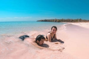 Dagtrip Roze Strand Lombok/Ona