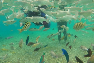 Pink Beach, Paradise Private Snorkeling Adventure in Lombok