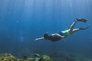 Privat omvisning i snorkling Gili Trawangan, Gili Meno, Gili Air