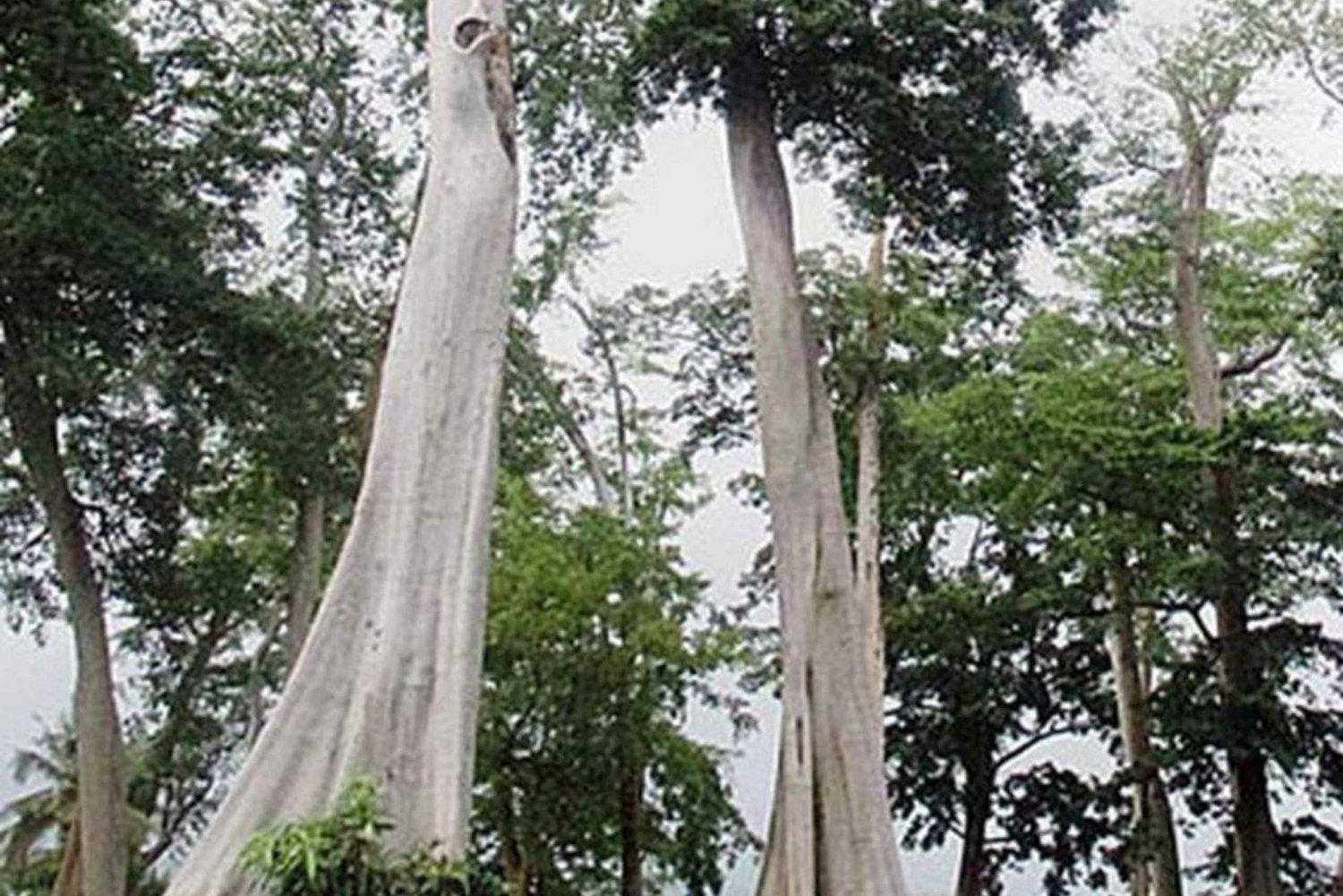 Private 4-Island Tour: Gili Kondo, Petagan, Bidara by Boat