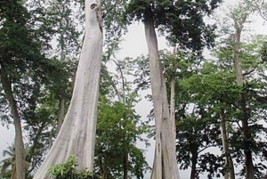 Private 4-Island Tour: Gili Kondo, Petagan, Bidara by Boat