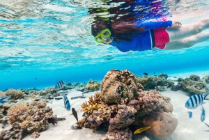 Private 4-Island Tour: Gili Kondo, Petagan, Bidara by Boat