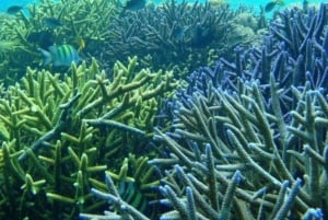 Private 4-Island Tour: Gili Kondo, Petagan, Bidara by Boat