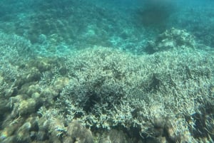 Private 4-Island Tour: Gili Kondo, Petagan, Bidara by Boat