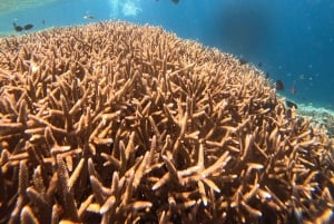 Private 4-Island Tour: Gili Kondo, Petagan, Bidara by Boat