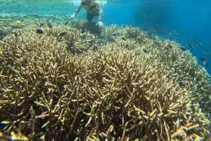 Private 4-Island Tour: Gili Kondo, Petagan, Bidara by Boat