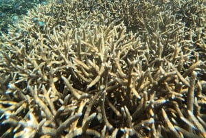 Private 4-Island Tour: Gili Kondo, Petagan, Bidara by Boat