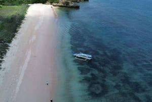 Private day tour to pink beach-sand island-gili petelu