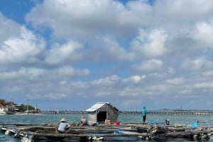 ピンクビーチの砂の島、ギリ ペテルへのプライベート 1 日ツアー