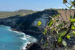 ピンクビーチの砂の島、ギリ ペテルへのプライベート 1 日ツアー