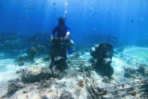 Privat gruppe snorkling på 3 Gili-øyer fra Gili Trawangan