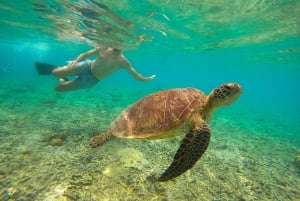 Privat gruppe snorkler på 3 Gili-øer fra Gili Trawangan