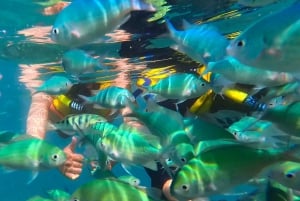 Privat grupp snorkling 3 Gili-öar från Gili Trawangan