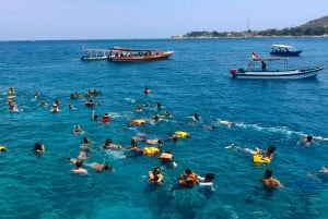 Privat gruppe snorkler på 3 Gili-øer fra Gili Trawangan