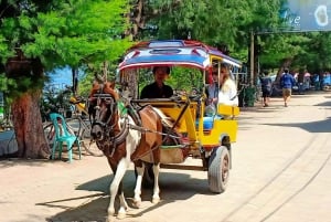 Privat gruppe snorkling på 3 Gili-øyer fra Gili Trawangan