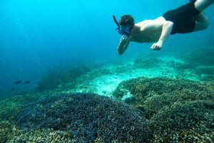 Privat gruppe snorkler på 3 Gili-øer fra Gili Trawangan