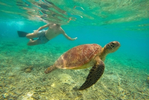 Private Group Snorkeling 3 Gili Islands from Gili Trawangan