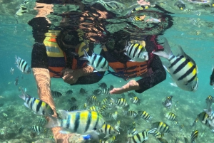 Passeio privado de jet ski e snorkeling às ilhas secretas de Lombok