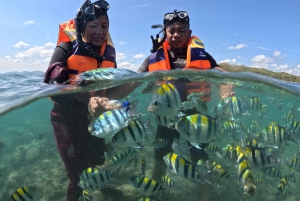 Passeio privado de jet ski e snorkeling às ilhas secretas de Lombok