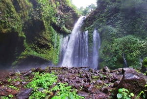 Viagem particular de 1 dia para Lombok: Motorista particular e tour personalizado