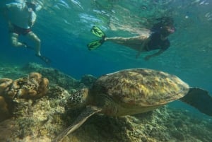 Gili Trawangan : Prywatny snorkeling w 4 miejscach z Gopro