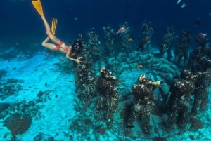 Tour privato di Snorkeling delle Isole Gili di un giorno intero