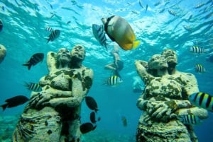 Tour privato di Snorkeling delle Isole Gili di un giorno intero