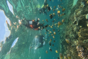 Tour privato di Snorkeling delle Isole Gili di un giorno intero