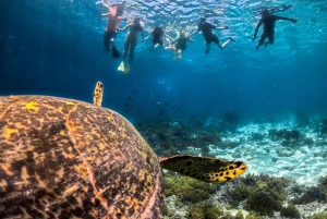 Private Snorkeling Gili Islands Full Day Tour
