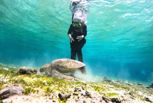 Private Snorkeling Gili Islands Full Day Tour