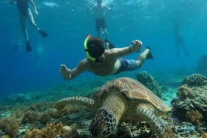 Gili Trawangan: Private Snorkeling (Coral, Statues, Turtles)