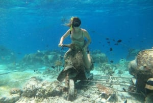 Gili Trawangan: Private Snorkeling (Coral, Statues, Turtles)