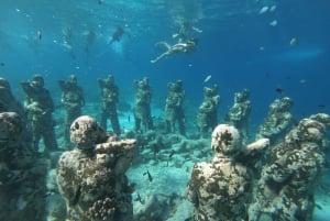 Gili Trawangan: Private Snorkeling (Coral, Statues, Turtles)