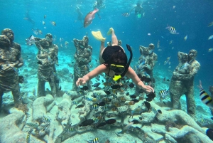 YKSITYINEN SNORKLAUSRETKI GILI TRAWANGAN+GILI MENO+GILI AIR