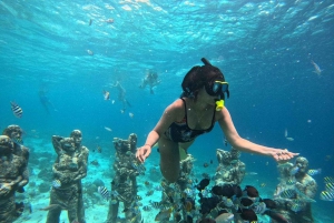 YKSITYINEN SNORKLAUSRETKI GILI TRAWANGAN+GILI MENO+GILI AIR