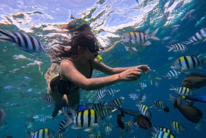 TOUR PARTICULAR DE MERGULHO COM SNORKEL EM GILI TRAWANGAN+GILI MENO+GILI AIR