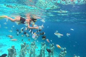 YKSITYINEN SNORKLAUSRETKI GILI TRAWANGAN+GILI MENO+GILI AIR