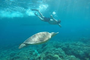 Desde Gili Air Tour privado de snorkel 3 Gilis