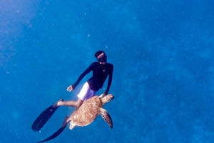 Snorkeling privato con la tartaruga e la statua del romantico