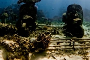 Snorkeling privato con la tartaruga e la statua del romantico