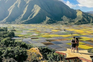 'Private Tour: Sendang Gile, Tiu Kelep Waterfall & Sembalun'