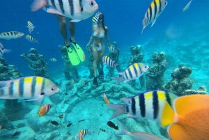 Private Trip 3 Islands 4 Hours With Gopro Camera Included