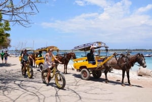 Privat tur til øya Gili fra Bali, snorkling 2D/1N