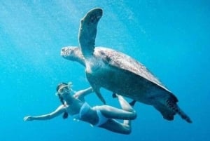 Privat tur til øya Gili fra Bali, snorkling 2D/1N