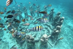 Privéreis naar Gili eiland vanuit Bali, snorkelen 2D/1N