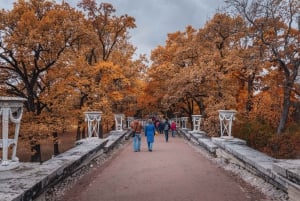 Pushkin: Catherine Palace and Gardens Guided Tour