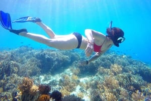 Лес обезьян Пусук на Ломбоке, вилла-призрак и три Гили