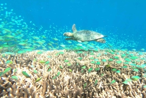 Лес обезьян Пусук на Ломбоке, вилла-призрак и три Гили