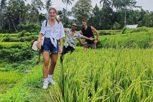 Rice Field - Benang Kelambu & Benang Stokel Waterfall Trip